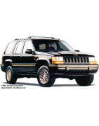 "Z/ZJ/ZG" (01.1993-03.1999)