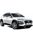 2017 - 2023 Integrované hagusy