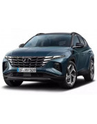 2021 - ... Integrované hagusy